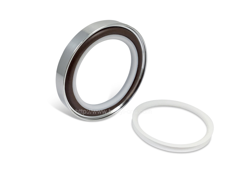 Centering Ring(PTFE) +Oring+Outer Ring